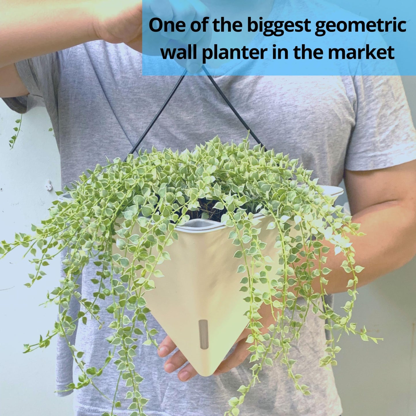 LaLaGreen Bundle- 2 Pack, 15 Inch White Metal Pot + 4 Pack, 12 Inch Geometric Self Watering Pot Modern Flower Vase Vessel Home Vertical Wall Mount Garden Window Rail Box Herb Plant Bucket Garden Decor
