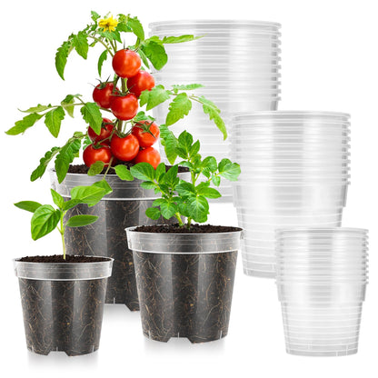 VIVOSUN 36 Packs 4/5/6 Inch Clear Nursery Pots with Drainage Holes, Reinforced Plastic Seedling Pots for Plants, Flowers, Cuttings, and Succulents, 40 pcs Plant Labels