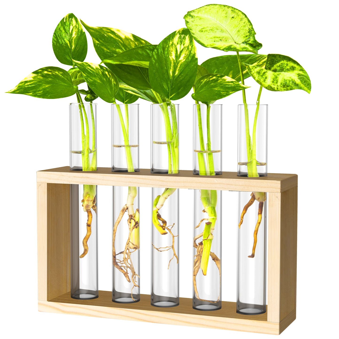 Propagation Station, Plants Terrarium, Plants Lover Gifts for Women,Plant Cutting Holder Home décor,Gifts for Women,House Warming New Home-5 Tubes-Beige