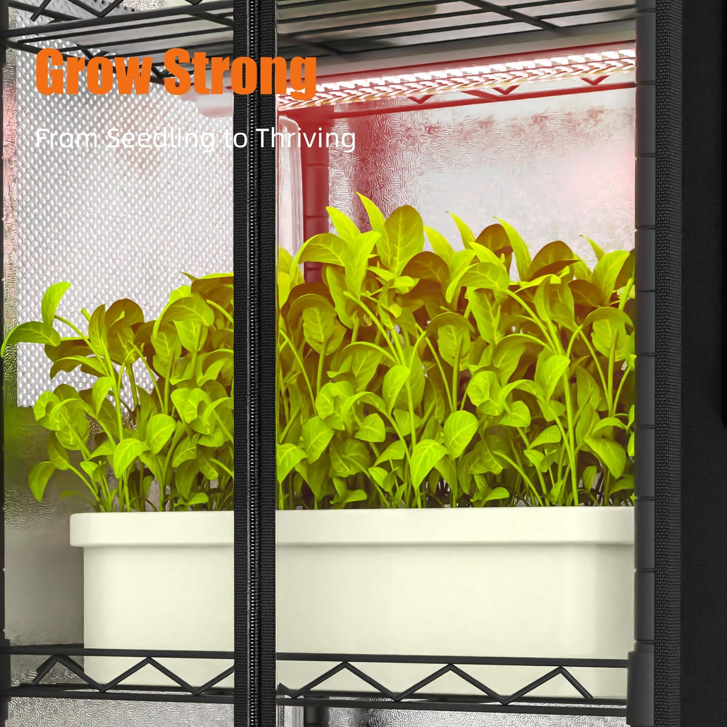 Aouipris Indoor Greenhouse with Grow Light, 5 Tier 15.7" L×11.8" W×62.3" H growtent with Lights, with 48W Full Spectrum Growing Lamps，Metal Indoor Plant Enclosure for Seed Starting