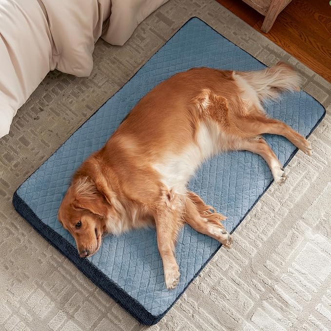 JOEJOY Orthopedic Medium Dog Bed, Washable Dog Crate Bed Medium Sized with Removable Cover, Egg Memory Foam Pet Beds, Blue, 29"x18"