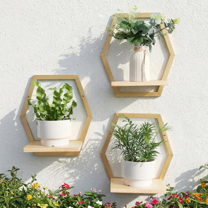 Rioneta 3 Pack Natural Wood & 25 LB Load Metal Wall Plant Holders, 9 inch Solid Wooden Shelf, Mid Century Hanging Planter for Indoor Plants Golden