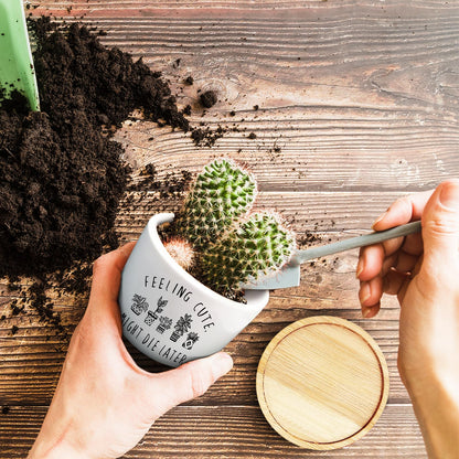 Jutasty Funny Succulent Plant Pot, Small Flower Planter for Indoor Plants, Cute Ceramic Cactus Planter Pots with Drainage, Windowsill Desk Decor Unique Planter Gift, Feeling Cute (No Plants)