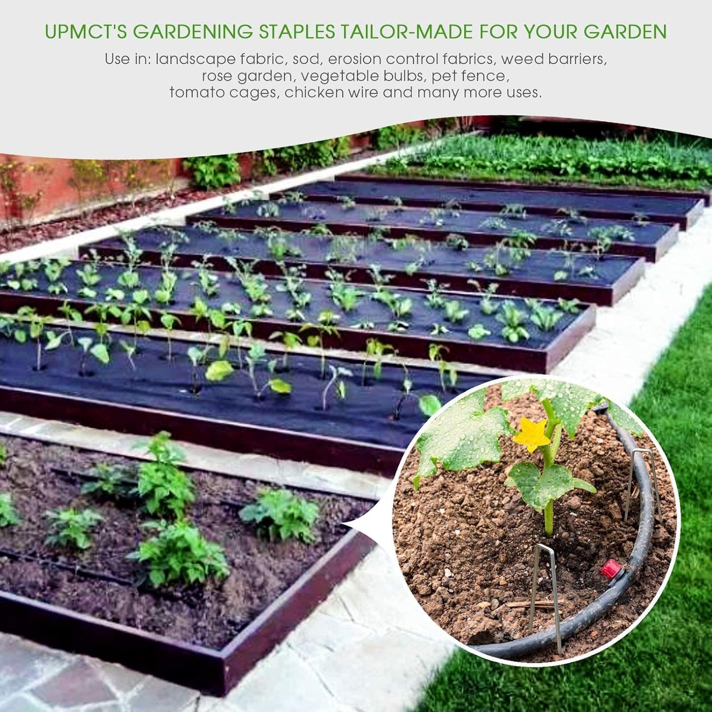 UPMCT 12 Inch Galvanized Garden Landscape Staples Stakes, 25 50 100 PCS Anti-Rust Garden Staples Tent Ground Stakes U-Shaped Landscape Pins for Secure Lawn Fabric, Decoration (25, 12 Inch)