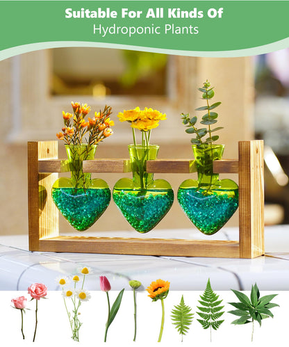 Nacome Plant Terrarium Propagation Stations: Mothers Day Gifts for Mom Plant Lovers Women Wife Daughter - 3 Bulb Glass Vase with Wooden Stand Tabletop for Hydroponics Home Garden Decor(Green)