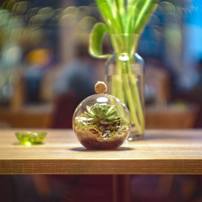 WGVI WGV Hanging Terrarium Globe, Width 6", Height 6.5", DIY Air Succulent Planter, Clear Glass Vase Orb with Flat Bottom, Candle Holder for Windowsill Outdoor Garden Decor, 1 Piece