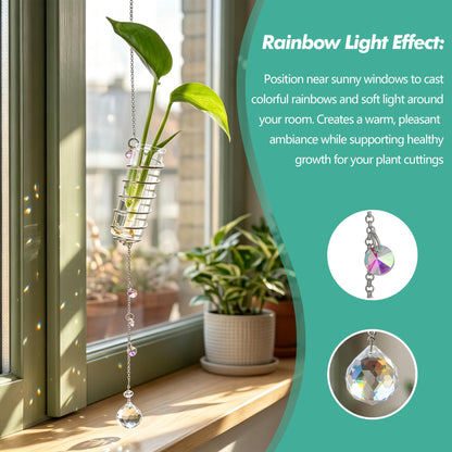 H&D HYALINE & DORA 6 Pcs Hanging Plant Propagation Station with Crystal Ball Prisms Suncatcher and Cleaning Brush, Glass Plant Suncatcher for Indoor Wall Plants Gifts for Plants Lovers(Silver)