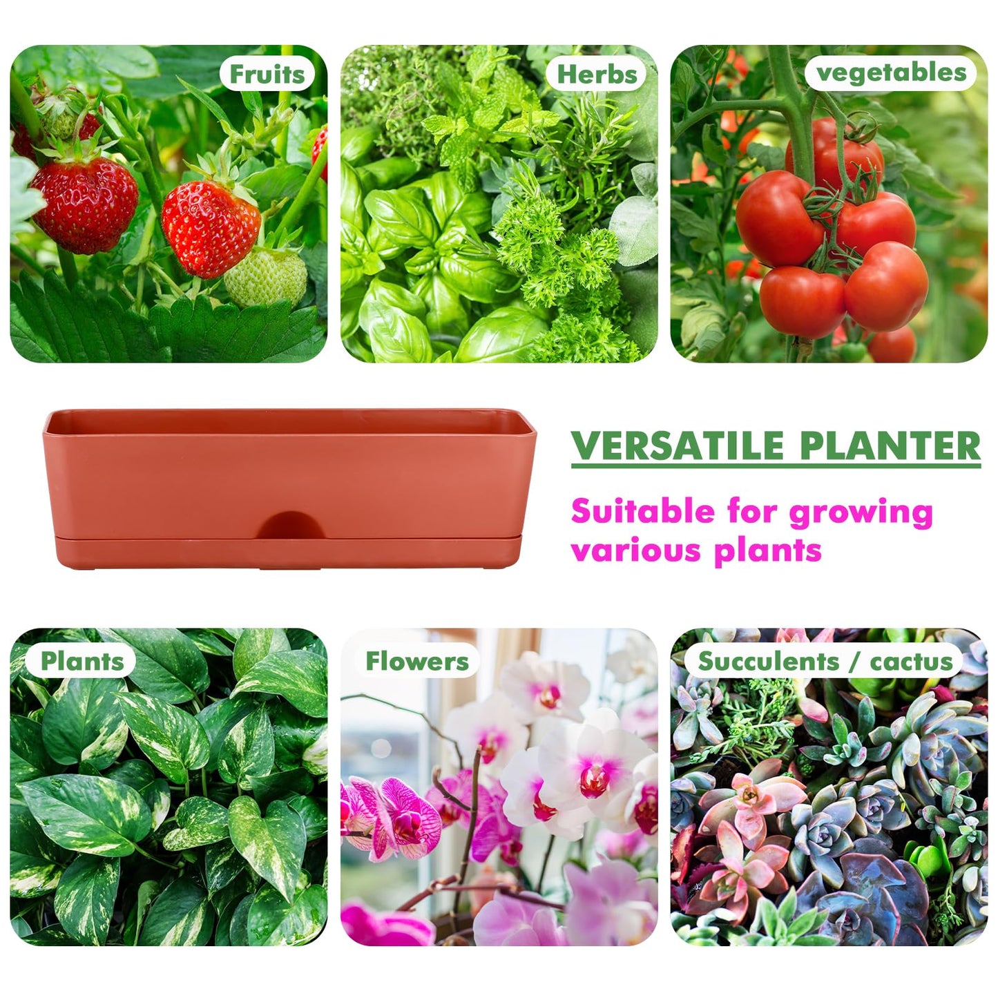 2-Pack Large Window Boxes Planters 16 Inch Rectangle Plant Box Rectangular Plant Pots for Outdoor and Indoor Plants Plastic Windowsill Planters for Herbs Vegetable Flowers Long Window Sill Plant Box