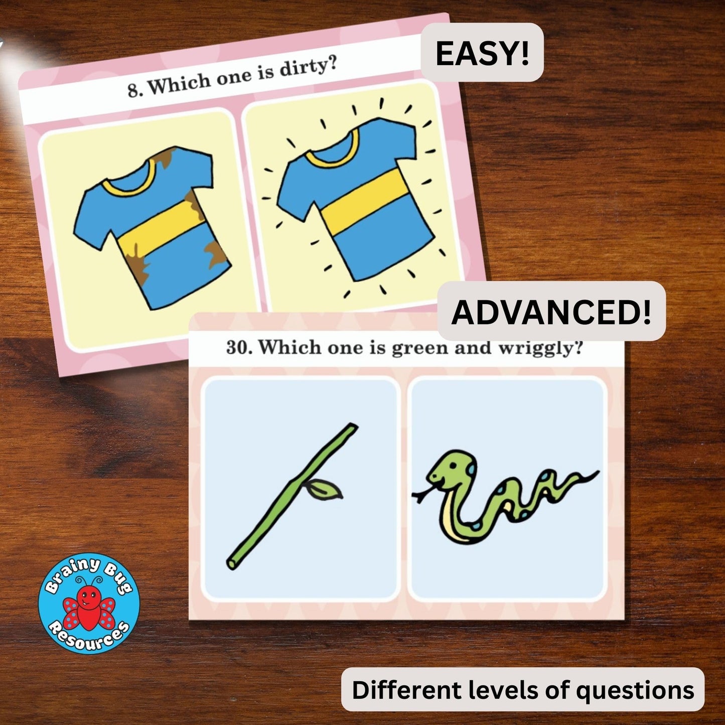 Brainy Bug Resources Verbal Reasoning Language Flash Cards for Kids | Q&A Learning Deck for ESL, Home Schooling & Special Needs | Parent and Professional Use