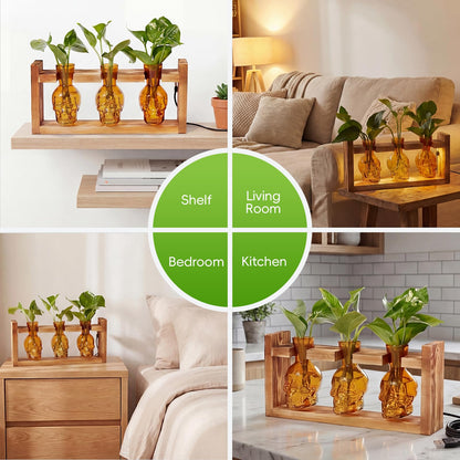 Skull Plant Propagation Station with LED Lights - Halloween Decor Skull Planter, Hydroponics Pot for Office, Unique Gifts for Women & Plant Lovers(Amber)