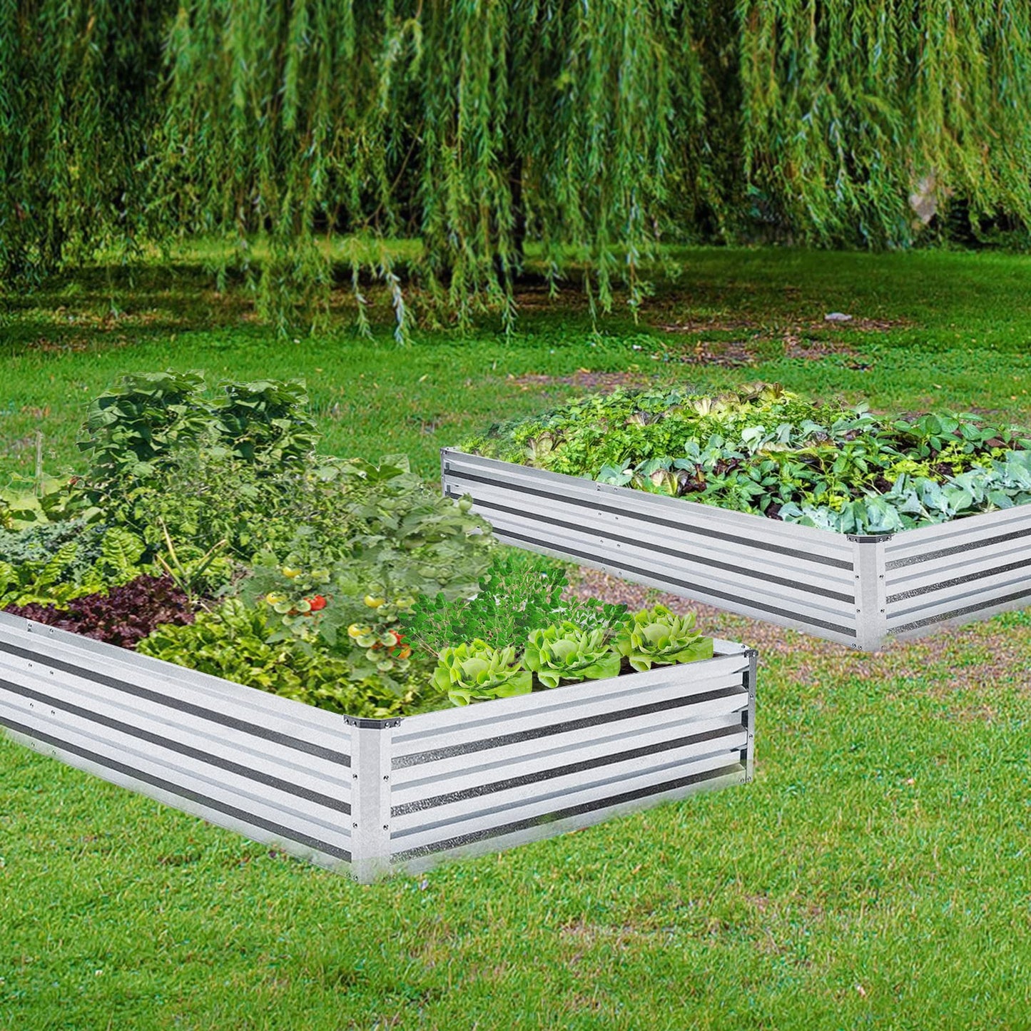 Mofesun Galvanized Raised Garden Bed 2pcs Pack - Metal Raised Bed Garden Kit 4'x8'x1' for Flower Planters, Vegetables Herb