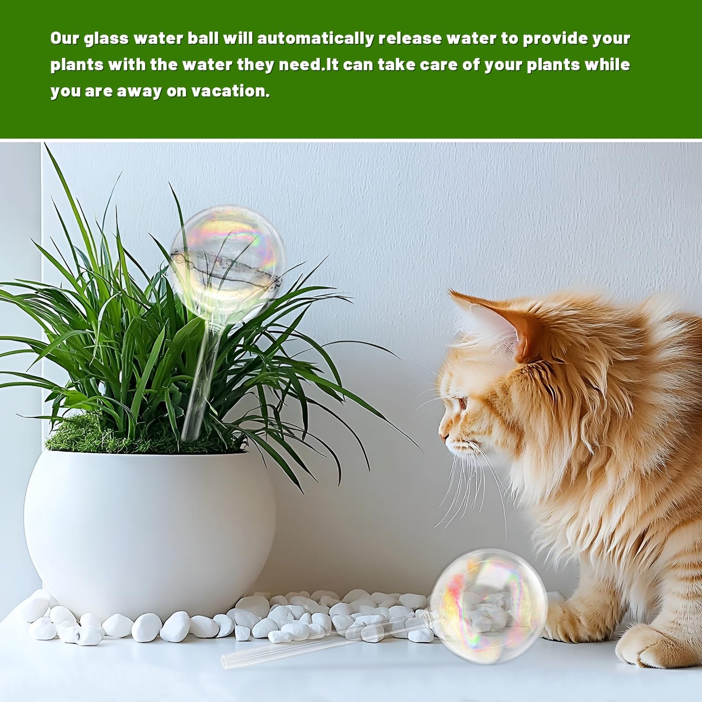 2 Pack Iridescent Glass Plant Watering Globe,Automatic Self-Watering Bulbs for Indoor Outdoor Plants-Hand-Blown Glass Watering Stakes for Home Garden Decor-Ideal Gift for Plant Lovers,Flowers,Pots