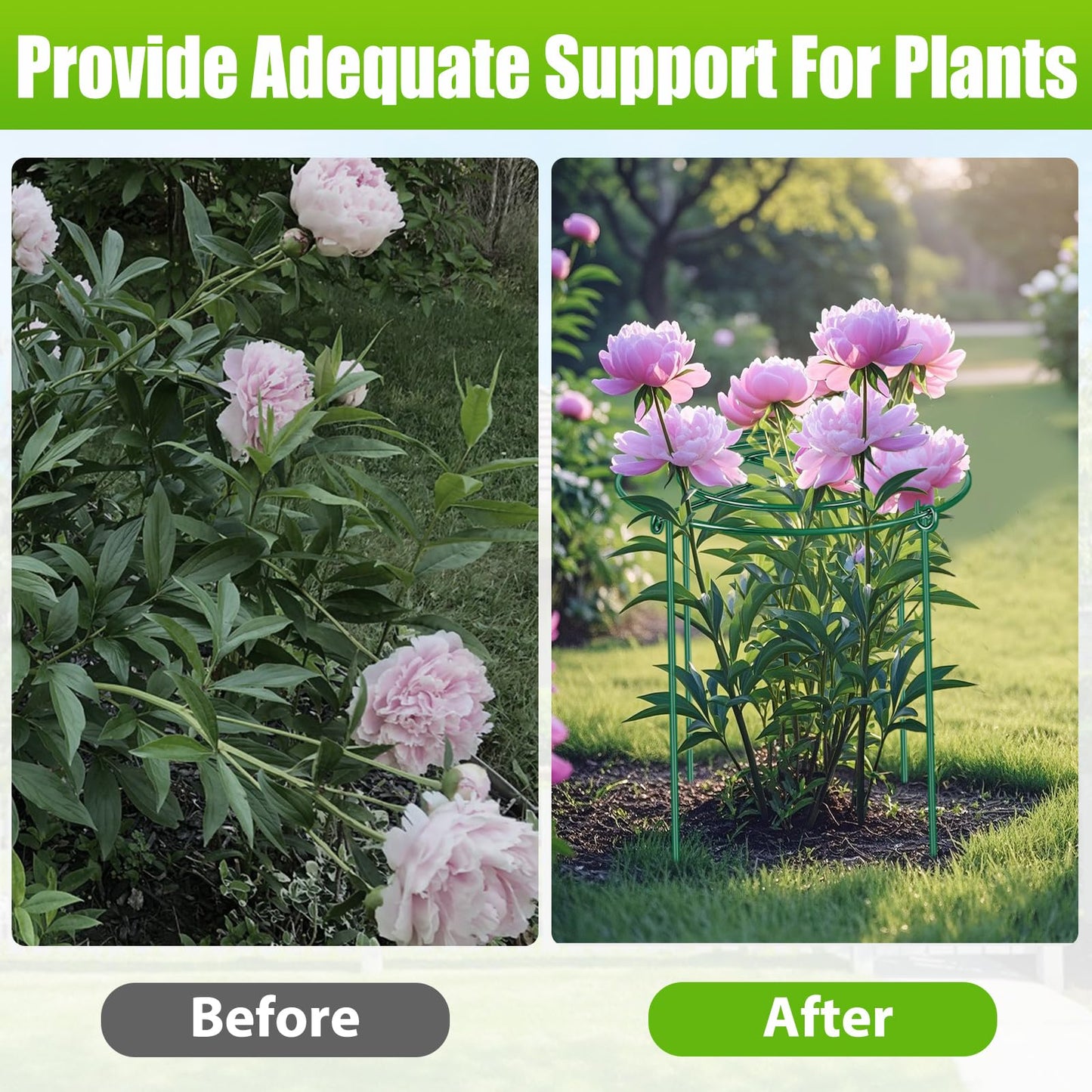 4 Pack Peony Cages and Supports, 14" Dx24 H Plant Supports for Outdoor Plants, Heavy Duty Metal Peony Support Cage Flower Support Rings, Plant Support Ring for Rose Tomato Hydrangea Strawberry