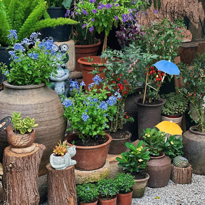2 PCS Mini Plant Umbrellas, 10.6 Inch Diameter Small Mini Adjustable Height (23.2-31.1 Inch) Shade Umbrella for Outdoor Potted Plants Garden Bed Flower Pot Decor, Blue and Yellow