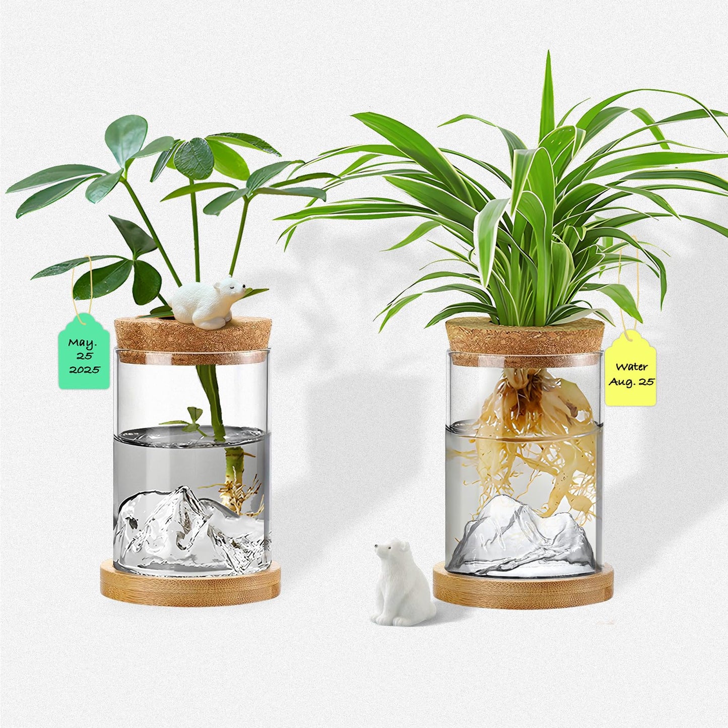 Plant Propagation Stations, 2Pcs Desktop Plants Terrarium Glass Hydroponic Vases with Bamboo Saucer, Water Plants Jars, Mountain-Shaped Bottom, Ideal Gifts for Women Mon Plant Lovers