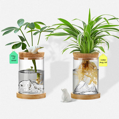 Plant Propagation Stations, 2Pcs Desktop Plants Terrarium Glass Hydroponic Vases with Bamboo Saucer, Water Plants Jars, Mountain-Shaped Bottom, Ideal Gifts for Women Mon Plant Lovers
