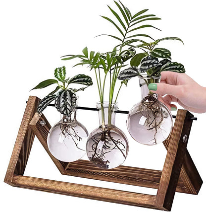 Kingbuy Desktop Glass Planter Iron and Wooden Stand Plant Terrariums for Indoor Office Desk Decor Accessories, 3 Bulb Vases, Brown