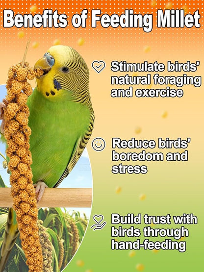MEWTOGO Spray Millet & Cuttlebone Bird Treats Set - 1lb Hand Selected Golden Millet Treats for Parakeets Cockatiel Lovebirds Canaries Finches, Energy & Calcium Boost
