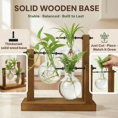 Plant Propagation Station with Glass Propagation Vases, Plant Propagation Jars in Wooden Stand, Hydroponic Vase for Plant Cuttings, Decorative Propagation Station for Home Desk Office
