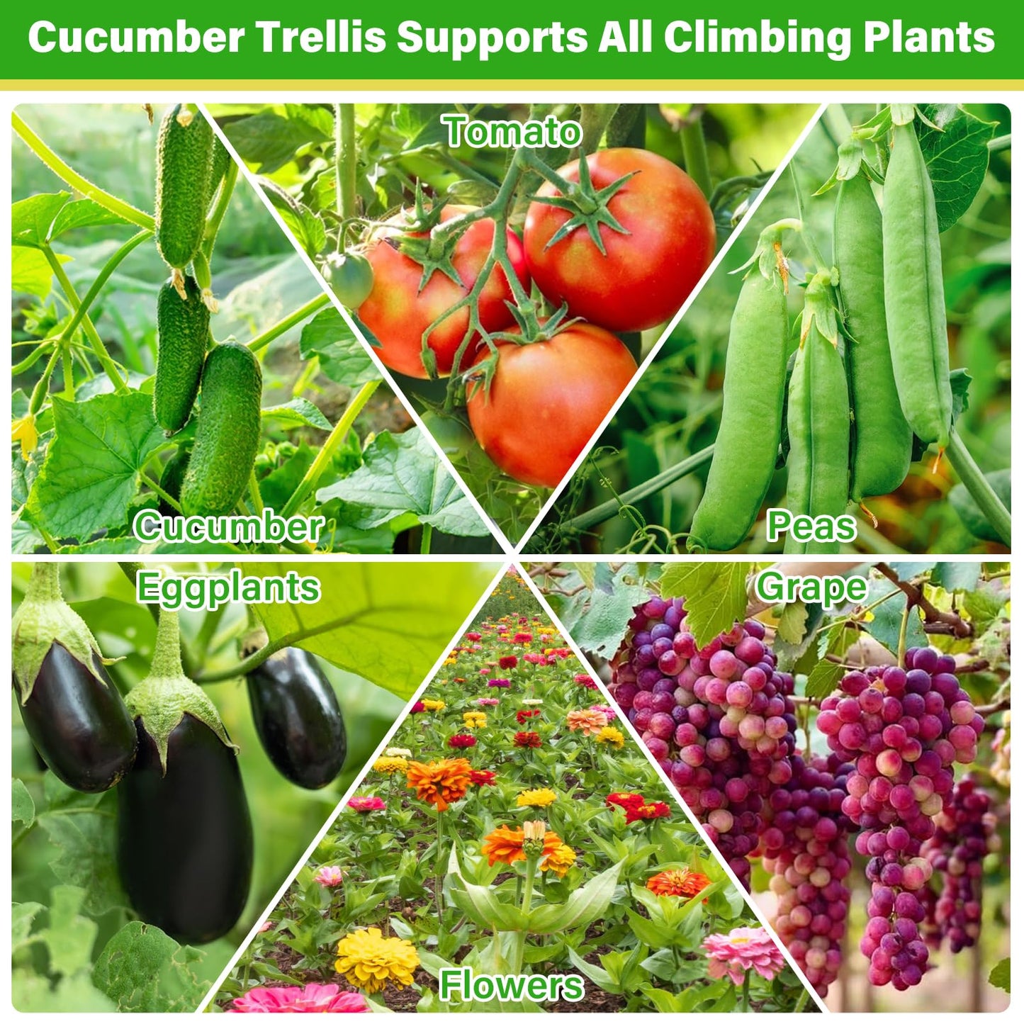 Sunwinx 53x51 Inch Cucumber Trellis for Raised Bed, Adjustable A-Frame Garden Trellis for Climbing Plants Outdoor with Climbing Net, Meal Plant Trellis for Vegetables Pea Bean Tomato Grape Squash