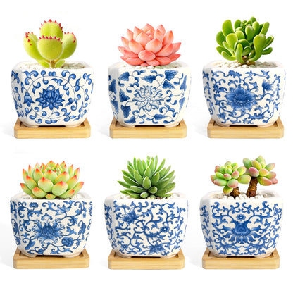 celamos Succulent Pots 6 Pack, Small Flower Pots with Drainage Bamboo Tray, Succulent Pots for Indoor Plants, Cactus Pots and Planters, Decorative Small Pots for Home Office