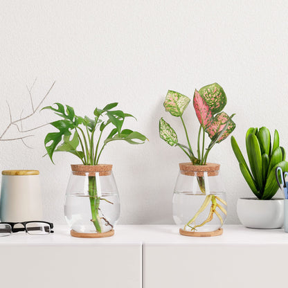 onepeng 2 Pcs Propagation Vases, Tabletop Plant Terrarium for Propagating Hydroponic, Glass Terrarium Vase Jars, Home Kitchen Decorations and Gifts for Plant Lovers