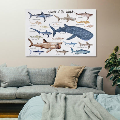 CZOURPVU Types of Shark Poster Shark Educational Chart Poster16x24inch(40x60cm)