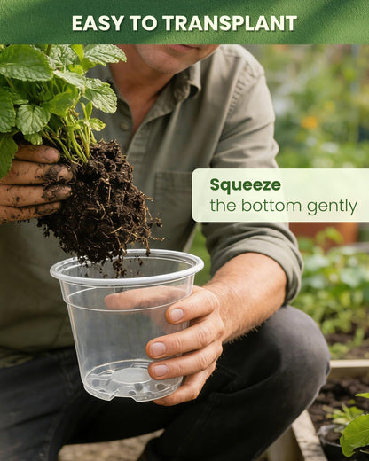 WandaQueen 24 Packs Clear Nursery Pots for Plants with Saucers, 7/6/5/4 Inch Plastic Flower Pots with Drainage Hole, Variety Pack Seedlings Plant Pot with 24 Plant Labels
