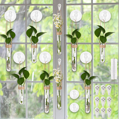 Baderke 9 Pack Clear Window Propagation Stations Plastic Window Planter with Suction Cups & Traceless Nails, Propagated Plant Holders with Bottle Brush, Hanging Vases Terrarium Gift (5.5''& 5"& 3.7'')