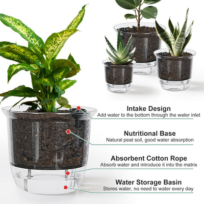 IWNTWY Plant Pots 6/5/4 inch Set of 3, Self Watering Pots for Indoor Outdoor Plants Flowers, Self Watering Planters with Reservoir, Drainage Hole and Absorbent Cotton Rope