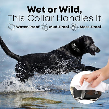 Regal Dog Products Small Black Waterproof Dog Collar and Leash Set | Heavy Duty Double Buckle & D Ring - 5'ft Leash | Adjustable Biothane Dog Collar | Chew Resistant Waterproof Collar for Dogs