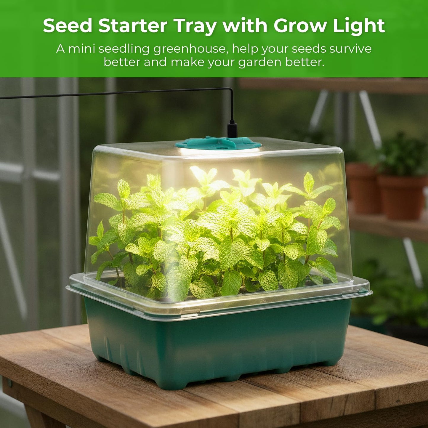 Ourhom Seed Starter Tray with Grow Light, 6pcs Seed Starter Kits with Light and Adjustable Humidity Domes, Covers Height 3.9", Indoor Seedling Starter Plant Germination Trays (Green-Warm White)
