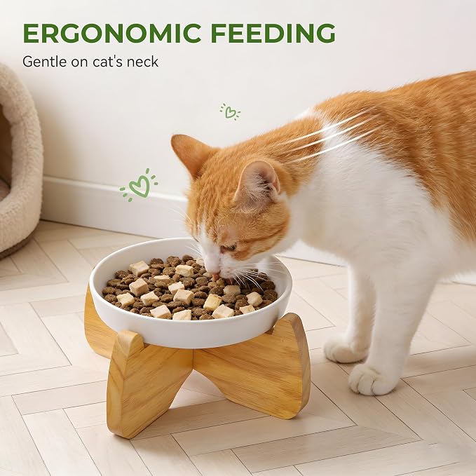 Raised Ceramic Cat Bowl 6.3" Wide Shallow Flat Bottom (1 Pack) | Neck Protective, Anti Whisker Fatigue, Anti Vomit, Dishwasher Safe, For Dry and Wet Food, For Kittens & Seniors