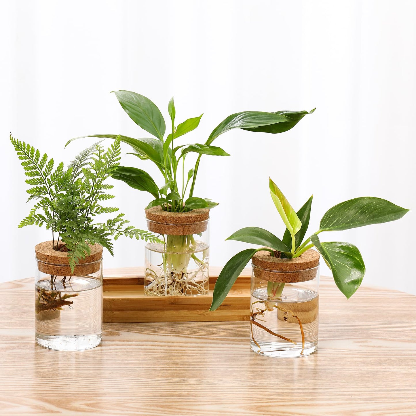 onepeng 3Pcs Propagation Stations, Plant Terrarium with Lid and Wooden Stand,Desktop Glass Planter Hydroponics Vase,Home Office Living Room Decor Gifts