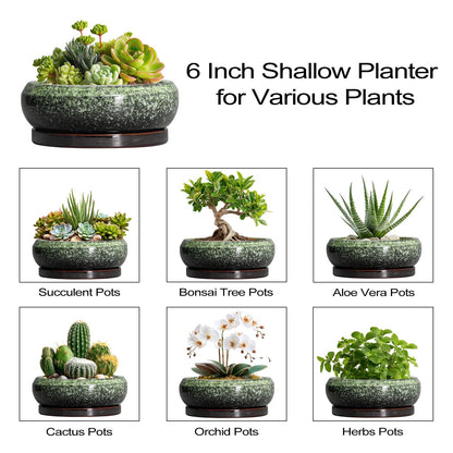 EPFamily Succulent Pots 6 Inch - Ceramic Bonsai Pots with Drainage Hole and Saucer, Succulent Planters for Indoor Outdoor, Small Shallow Planter, Round Cactus Pot, Room Decor, Plant Lover Gift, Green