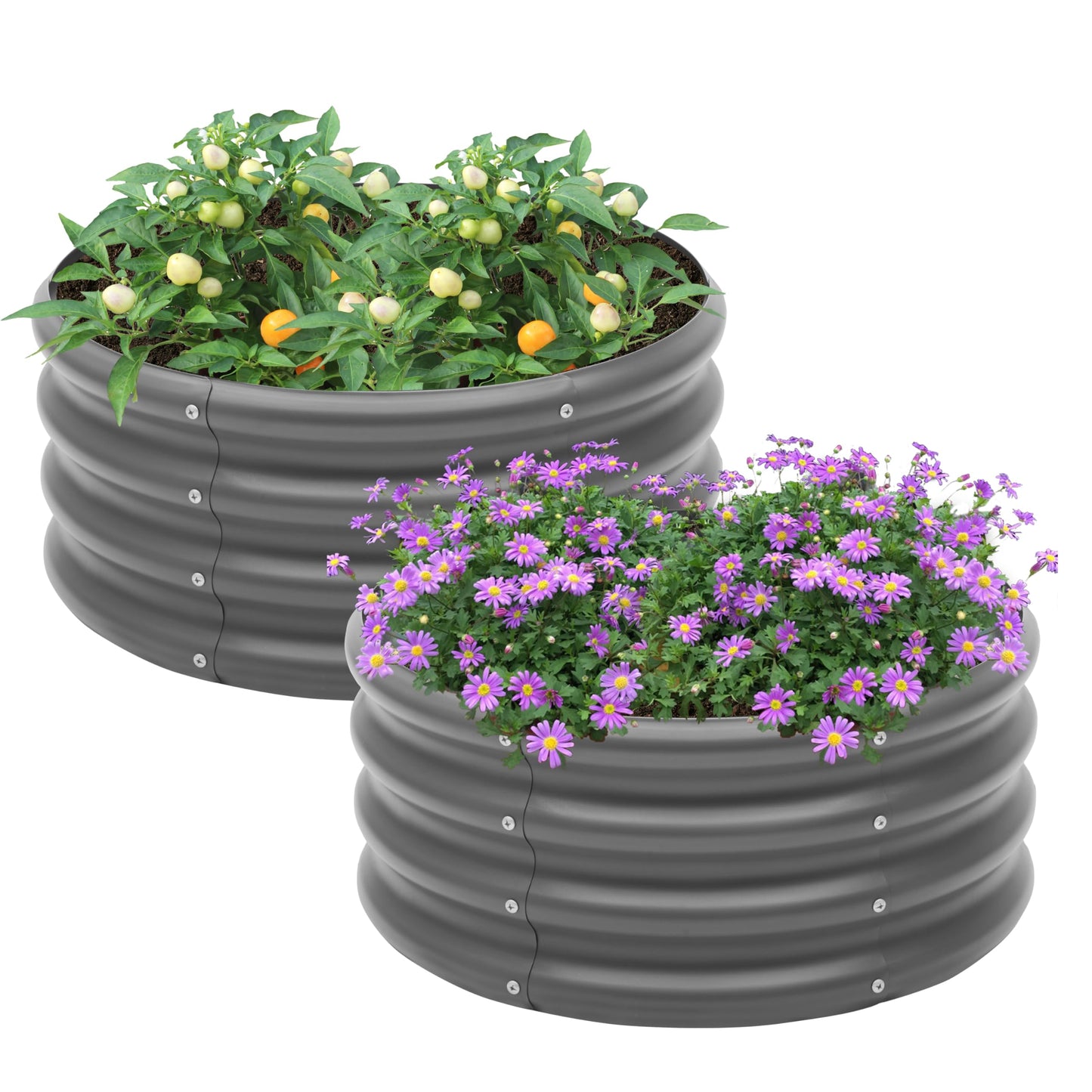 2-Pack 2x1ft Galvanized Raised Garden Bed, Outdoor Planter Bed, Metal Planter Box for Gardening and Planting