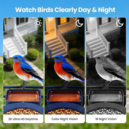 Smart Bird Feeder with Camera : 2K HD Video Live Stream, AI Birds Species Identification ＆ Instant Arrival Alerts, Solar Bird Feeder Camera for Outdoor Backyard - Ideal Gifts for Mom Dad Birdlovers