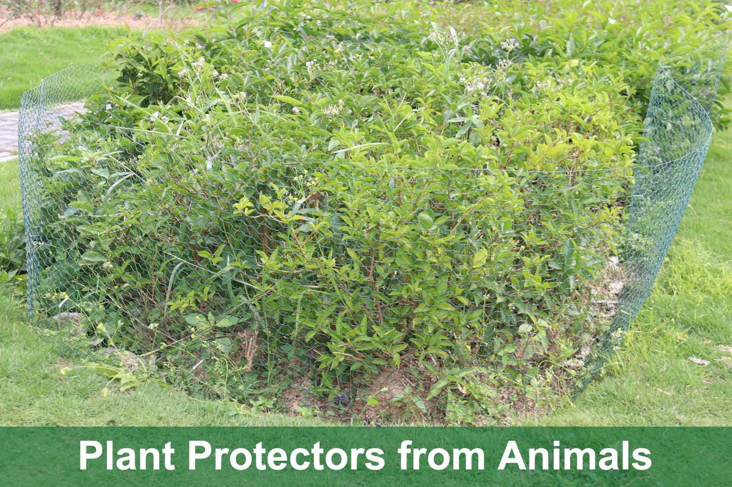 32.8Ft x 16In Plant Protectors from Animals, Wire Plant Protector Cage, Metal Chicken Wire Fence for Garden Plant Protection Guards from Rabbits Squirrel Deer, with Stakes, Zip Ties, Gloves & Pliers