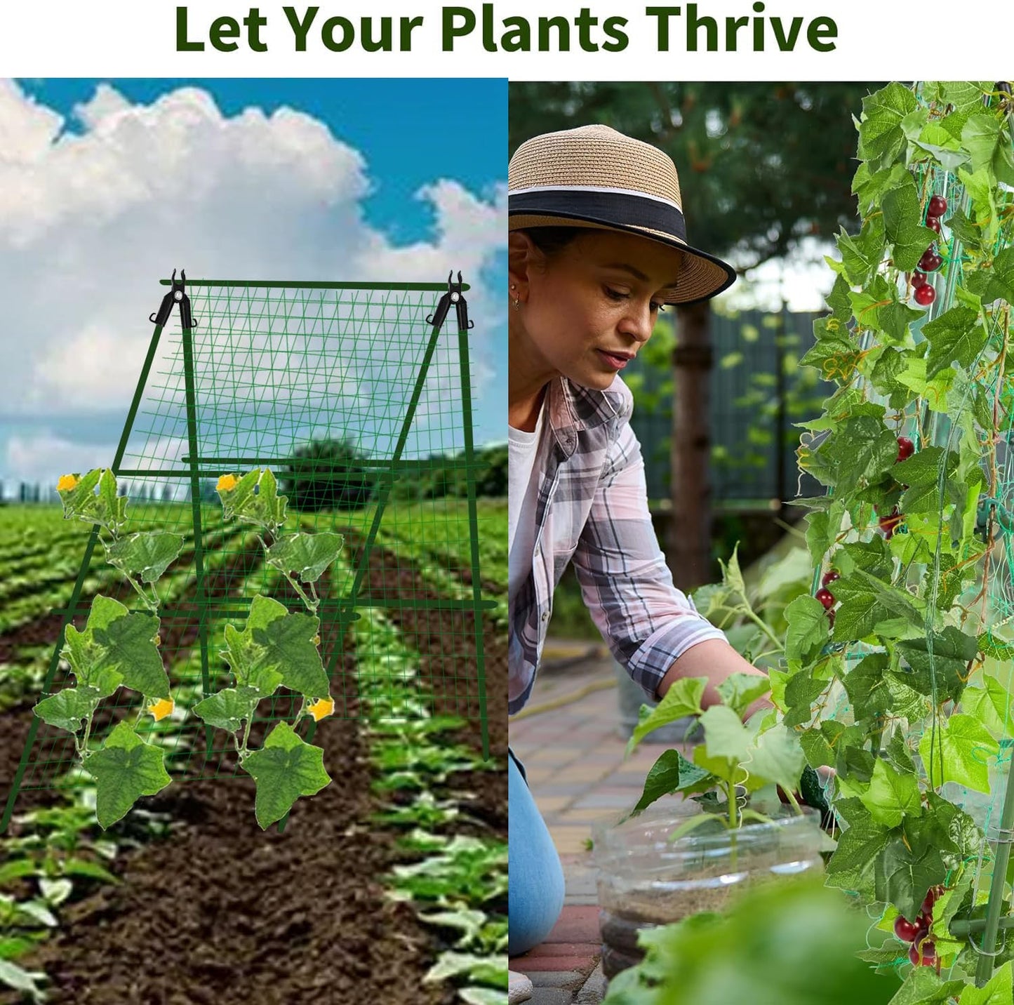 JK-GMTE A-Frame Metal Garden Trellis Set for Raised Bed for Climbing Plants Outdoor-Detachable Cucumber Climbing Trellis with Net Clips-Garden for Cucumber Flowers Vegetables