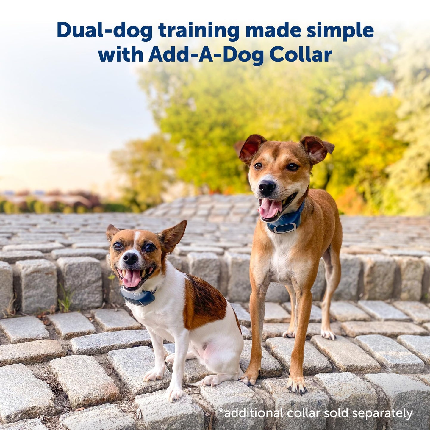 PetSafe 900 Yard Remote Training Collar Choose from Tone, Vibration, or 15 Levels of Static Stimulation Longest Range Option for Training Off Leash Dogs Waterproof and Durable Rechargeable