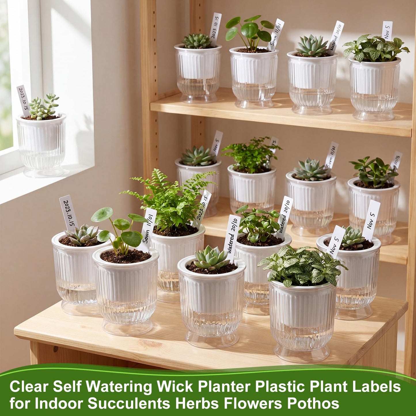Ferrochef 20 Sets 4 Inch Self Watering Pots Bulk Small Plant Pots with Inner Reservoir, Clear Self Watering Wick Planter Plastic Plant Labels for Indoor Succulents Herbs Flowers Pothos