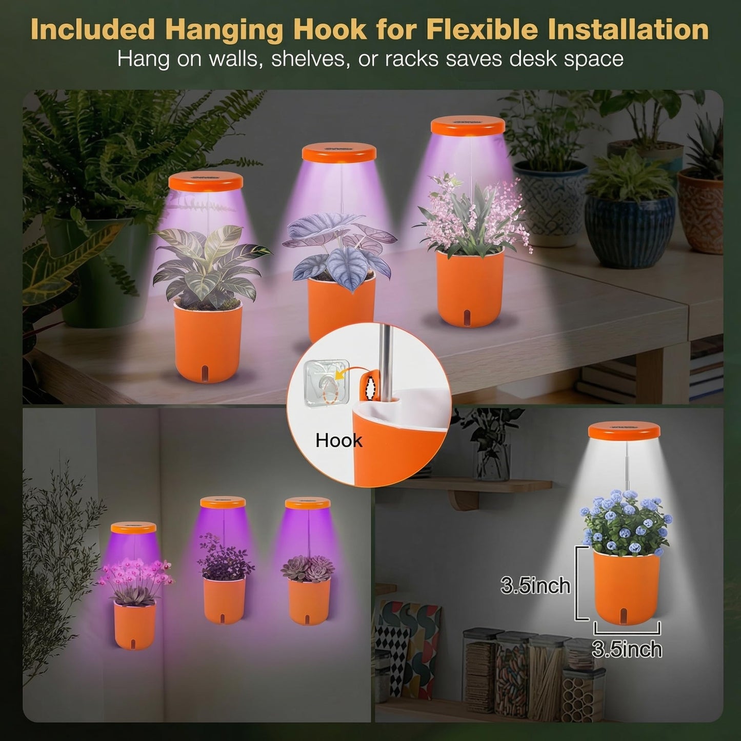 Raygrov Self-Watering Planter with Grow Light, Smart Indoor Pot for Venus Fly Trap, Carnivorous Plants, African Violet, Cat Grass, Catnip & Herbs, 2-in-1 Wall + Desktop, USB 5W Full Spectrum LED