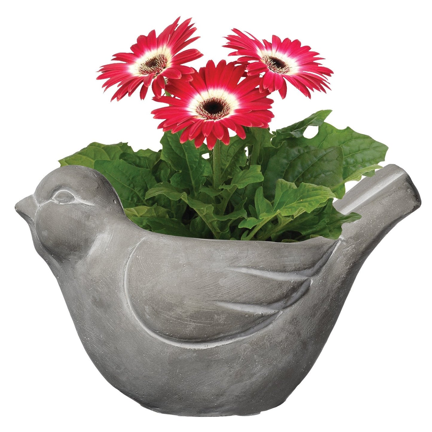 Classic Home and Garden Cement Buddies Animal Planter - Cute Desk Decoration - UV Coated Animal Vase w/Removable Drain Plug - Succulent Planter for Indoor/Outdoor Use (Bird Planter, Natural, Large)