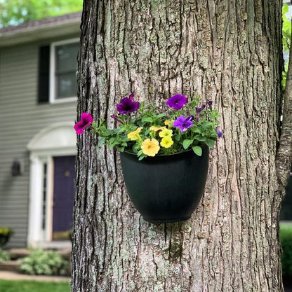 The HC Companies 8 Inch Garden Wall Planter - Plastic Hanging Plant Pot for Indoor Outdoor Flowers, Herbs, Dusty Teal