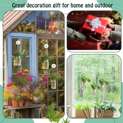 Baderke 9 Sets Window Hanging Propagation Stations 3.54'' Plastic Propagation Vases with Suction Cup & Traceless Nail, Propagated Plant Holder Wall Jars for Office Home Garden Decoration Lover Gift