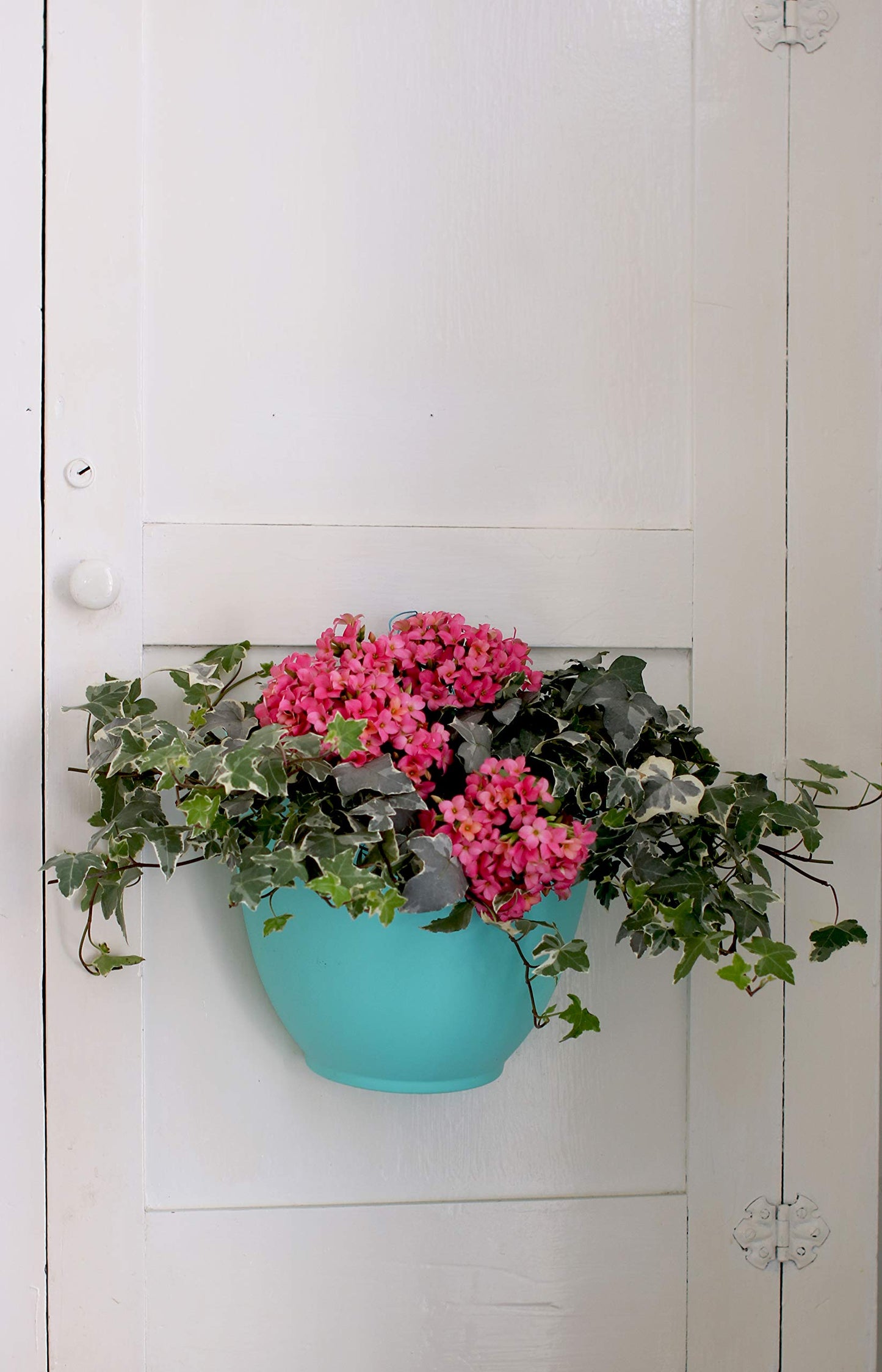 The HC Companies 8 Inch Garden Wall Planter - Plastic Hanging Plant Pot for Indoor Outdoor Flowers, Herbs, Dusty Teal