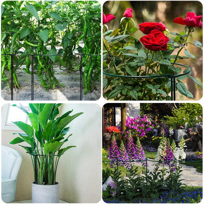 TCBWFY 14" Dx32 H Plant Supports Stakes for Large Heavy Plants,6 Pack Peony Supports,Heavy Duty 5mm Wire Peony Cages,Interlock Garden Supports Ring Border Support,Plant Support Cage for Rose Flower