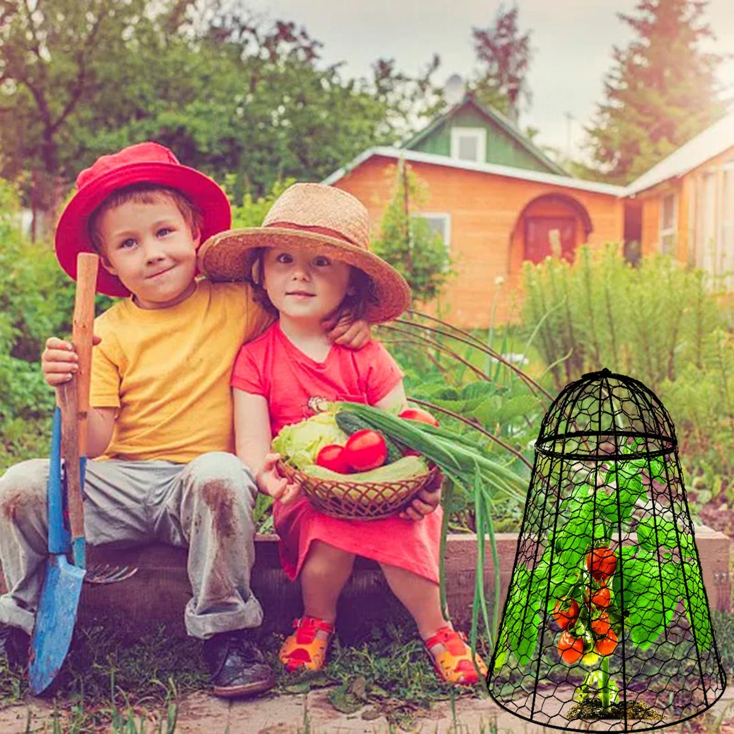 Garden Cloches for Plants Extra Large Sapbontchi Garden Cloche Chicken Wire Cloche for Plants Cages Cover Plant Protectors from Animals in Outdoor Vegetable Garden Set of 6 Plant Cloche 20" H x 12" D
