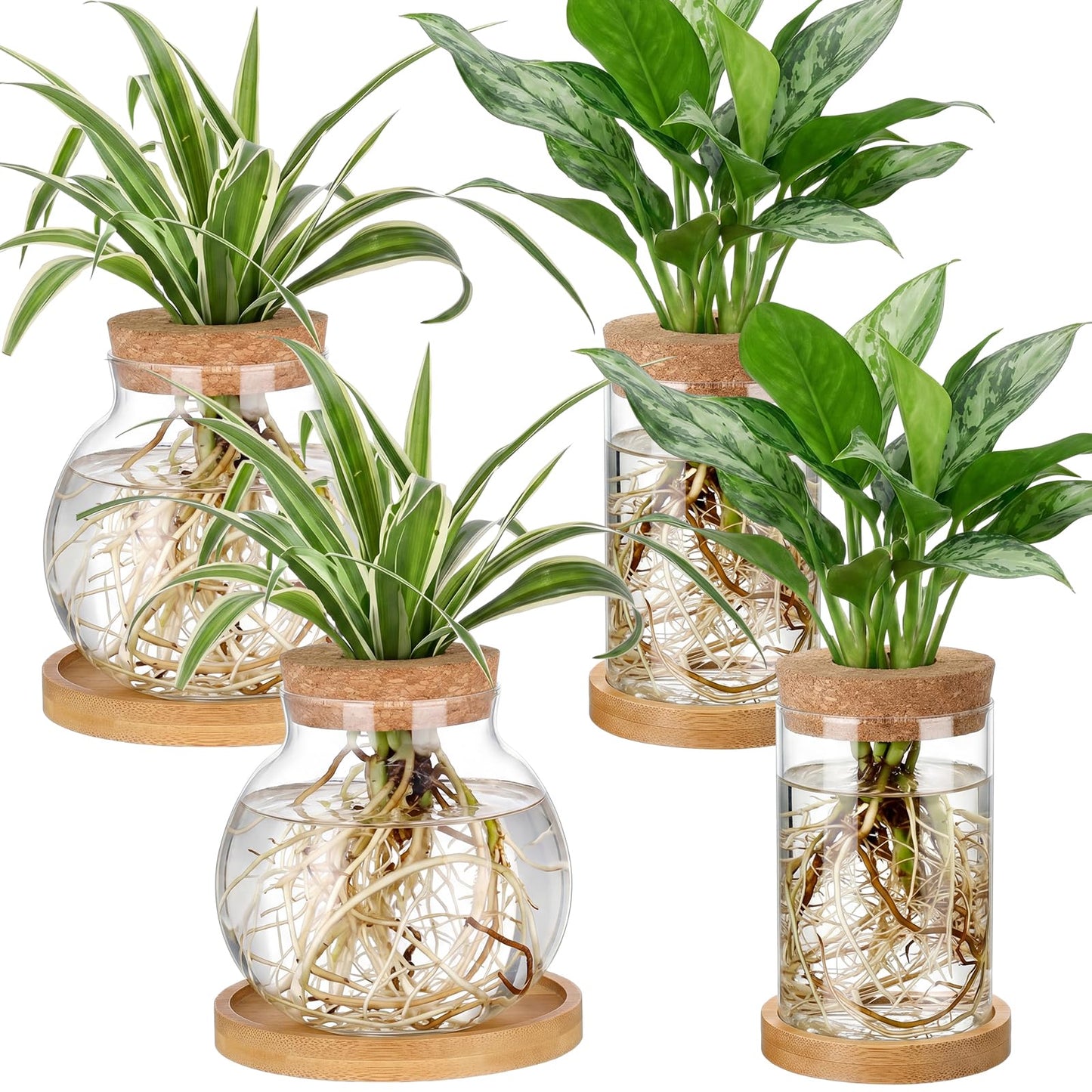 Layhit 4 Pcs Plants Propagation Stations vases Glass Planters with Wooden Lid and Bamboo Stand for Hydroponic Plants Gardening Gifts for Women Mom Home Office Tabletop Decoration(Funny Style)