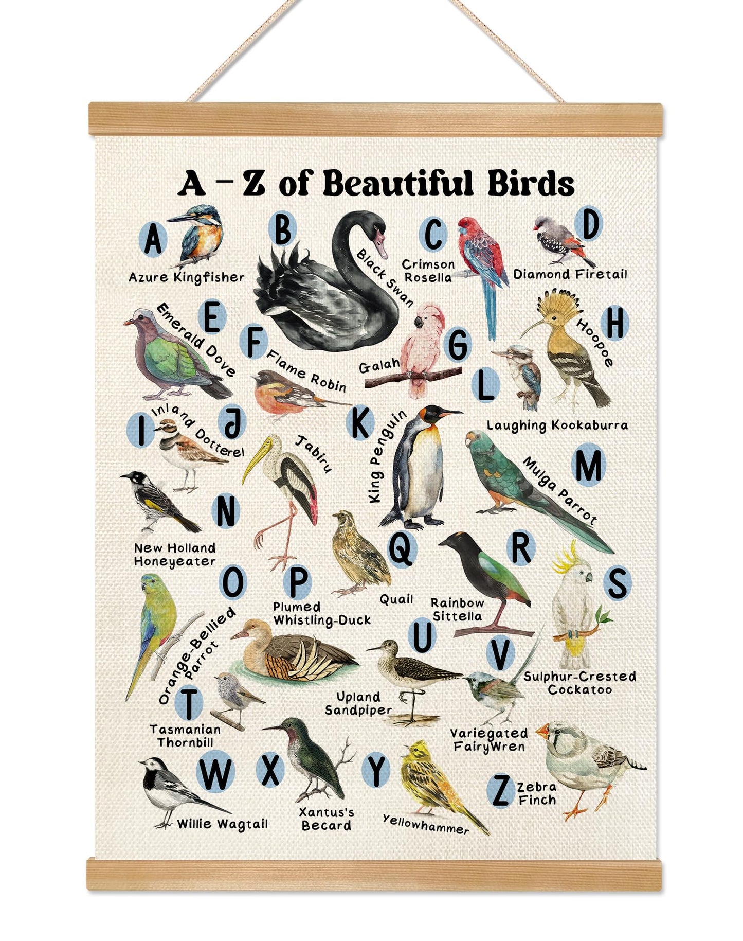 Alphabet Educational Wall Art Poster for Daycareof,A-Z Beautiful Birds Canvas Print Poster for Preschool, Toddler Learning Poster for Nursery Classroom Playroom,Kids Room Decor 14x18.5inch (1, Beige-Bird)